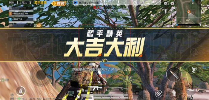和平精英科技免费 - 多功能外挂永久免费使用